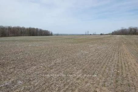 2399 7th Line, Innisfil