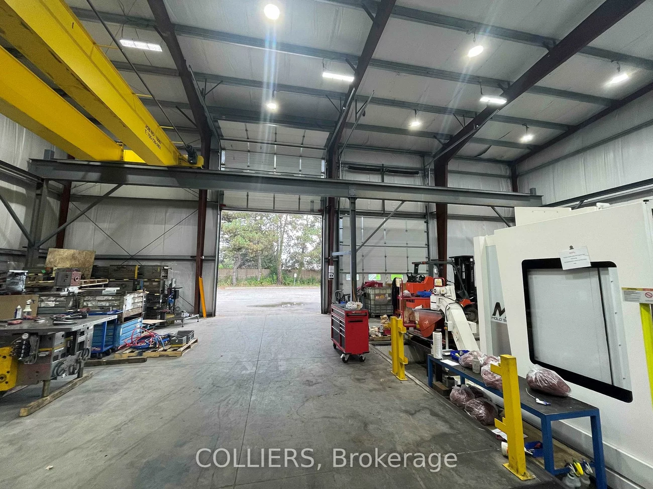 230, Edward, Aurora Village, Aurora