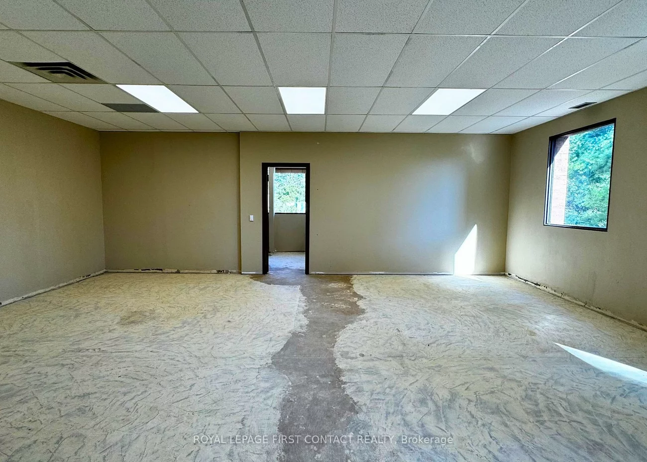 11, Ferris, Bayfield, Barrie