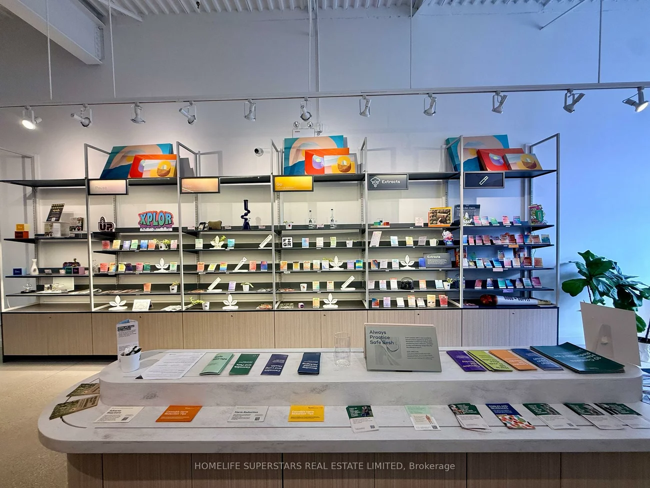 555, Essa, Holly, Barrie