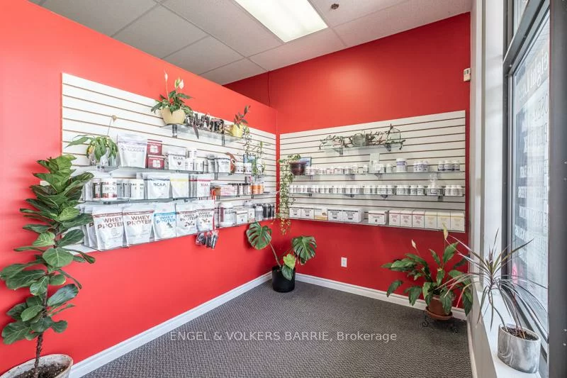 353, Anne, Sunnidale, Barrie