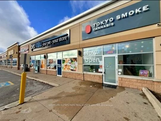 555, Essa, Holly, Barrie