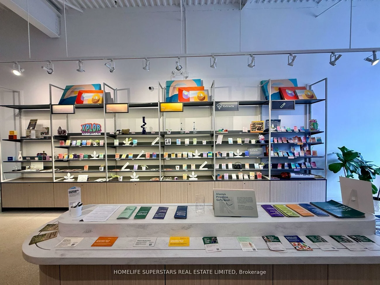 555, Essa, Holly, Barrie