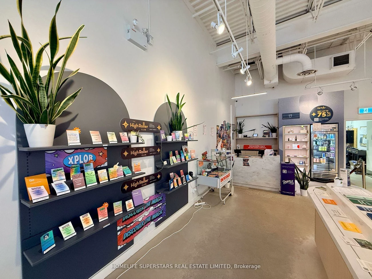 555, Essa, Holly, Barrie