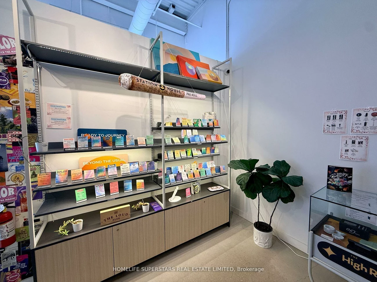 555, Essa, Holly, Barrie