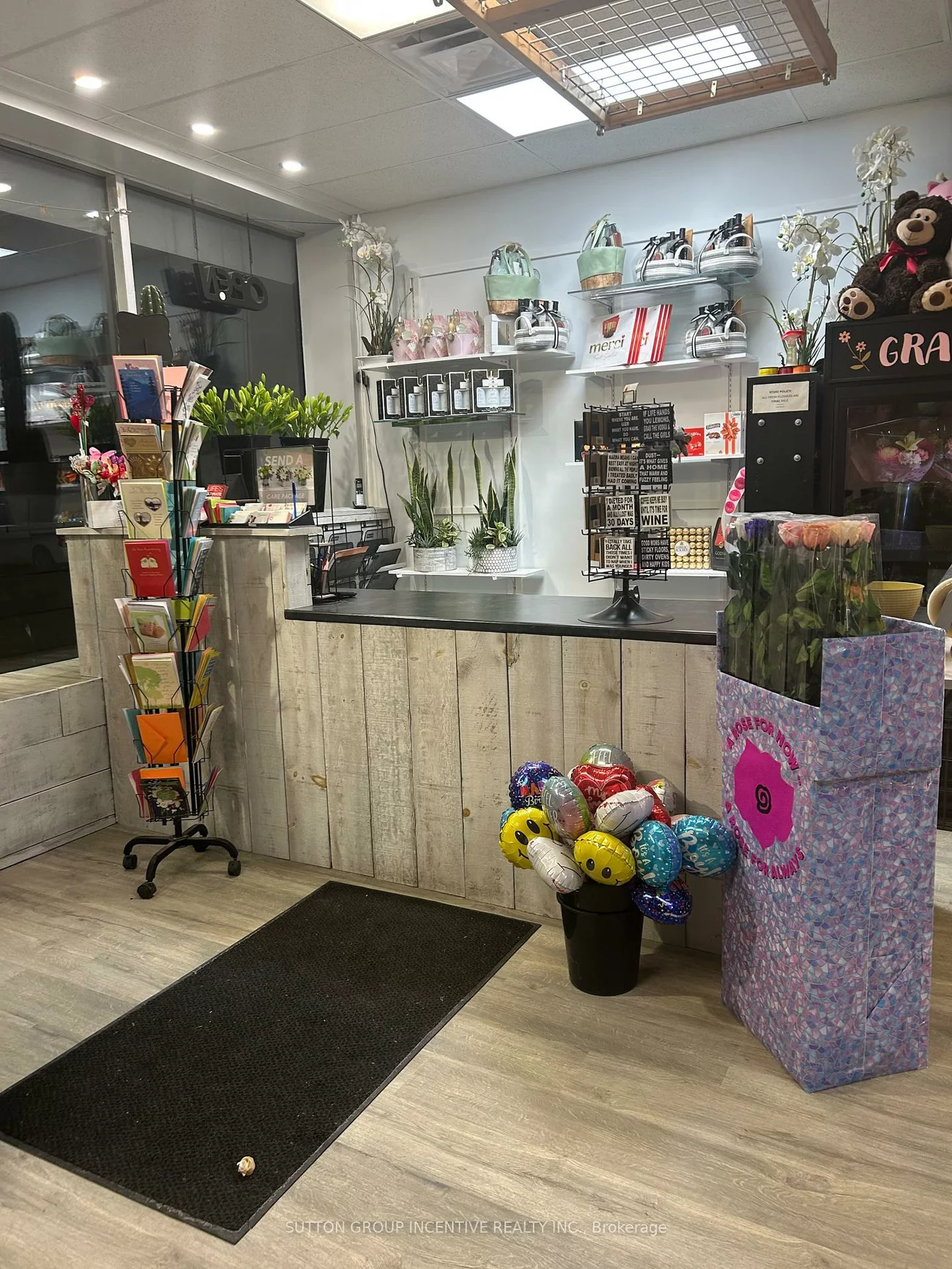 7, Anne, Queen's Park, Barrie