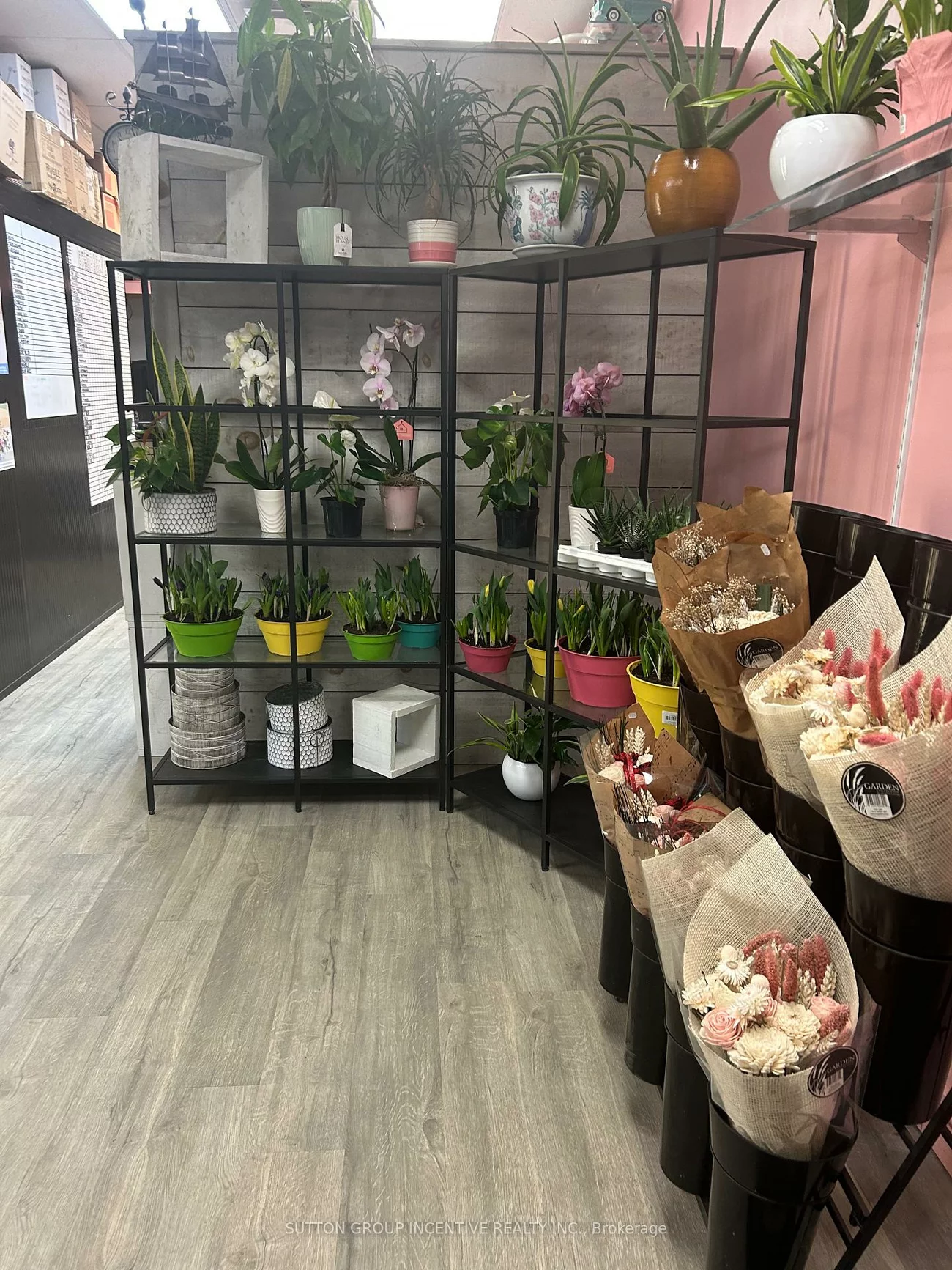 7, Anne, Queen's Park, Barrie