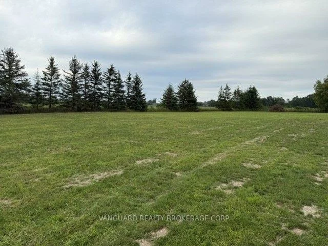3522, Line 4, Rural Bradford West Gwillimbury, Bradford West Gwillimbury