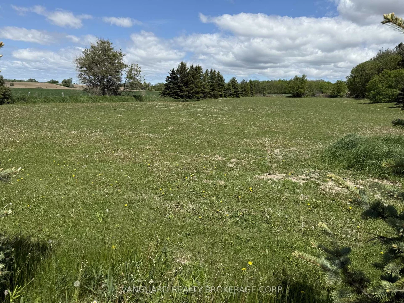 3522, Line 4, Rural Bradford West Gwillimbury, Bradford West Gwillimbury