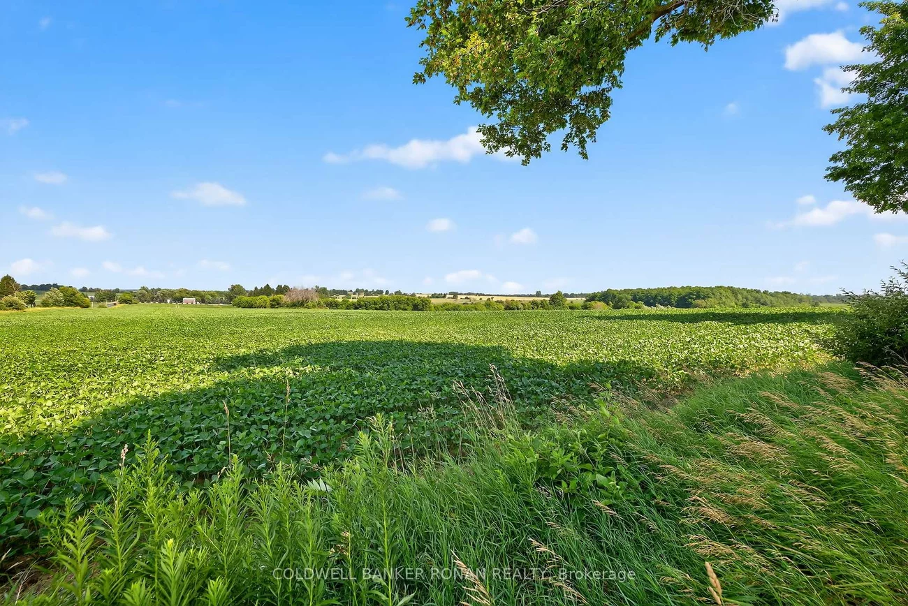 4495, Line 11, Rural Bradford West Gwillimbury, Bradford West Gwillimbury