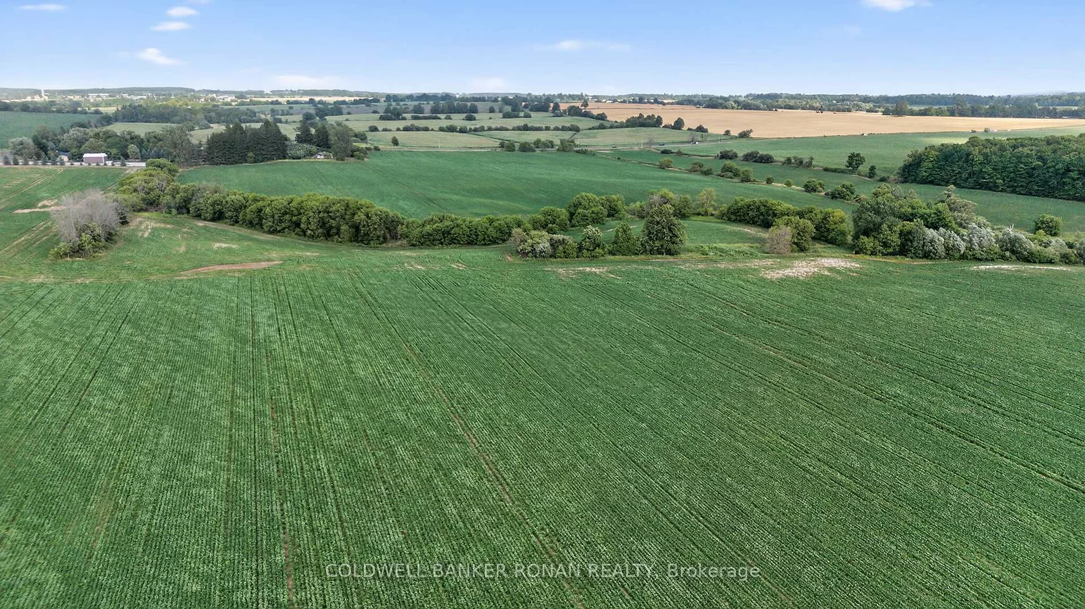 4495, Line 11, Rural Bradford West Gwillimbury, Bradford West Gwillimbury