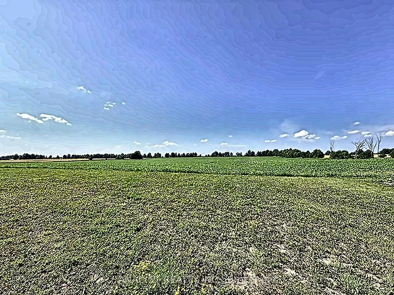 3890, Line 10, Rural Bradford West Gwillimbury, Bradford West Gwillimbury
