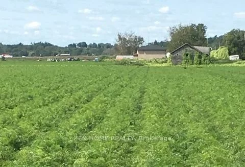 303, Devald, Rural Bradford West Gwillimbury, Bradford West Gwillimbury