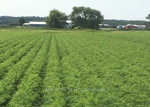 303, Devald, Rural Bradford West Gwillimbury, Bradford West Gwillimbury