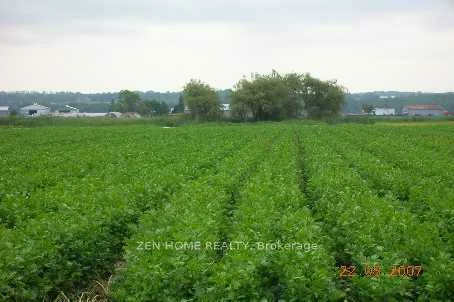 303, Devald, Rural Bradford West Gwillimbury, Bradford West Gwillimbury