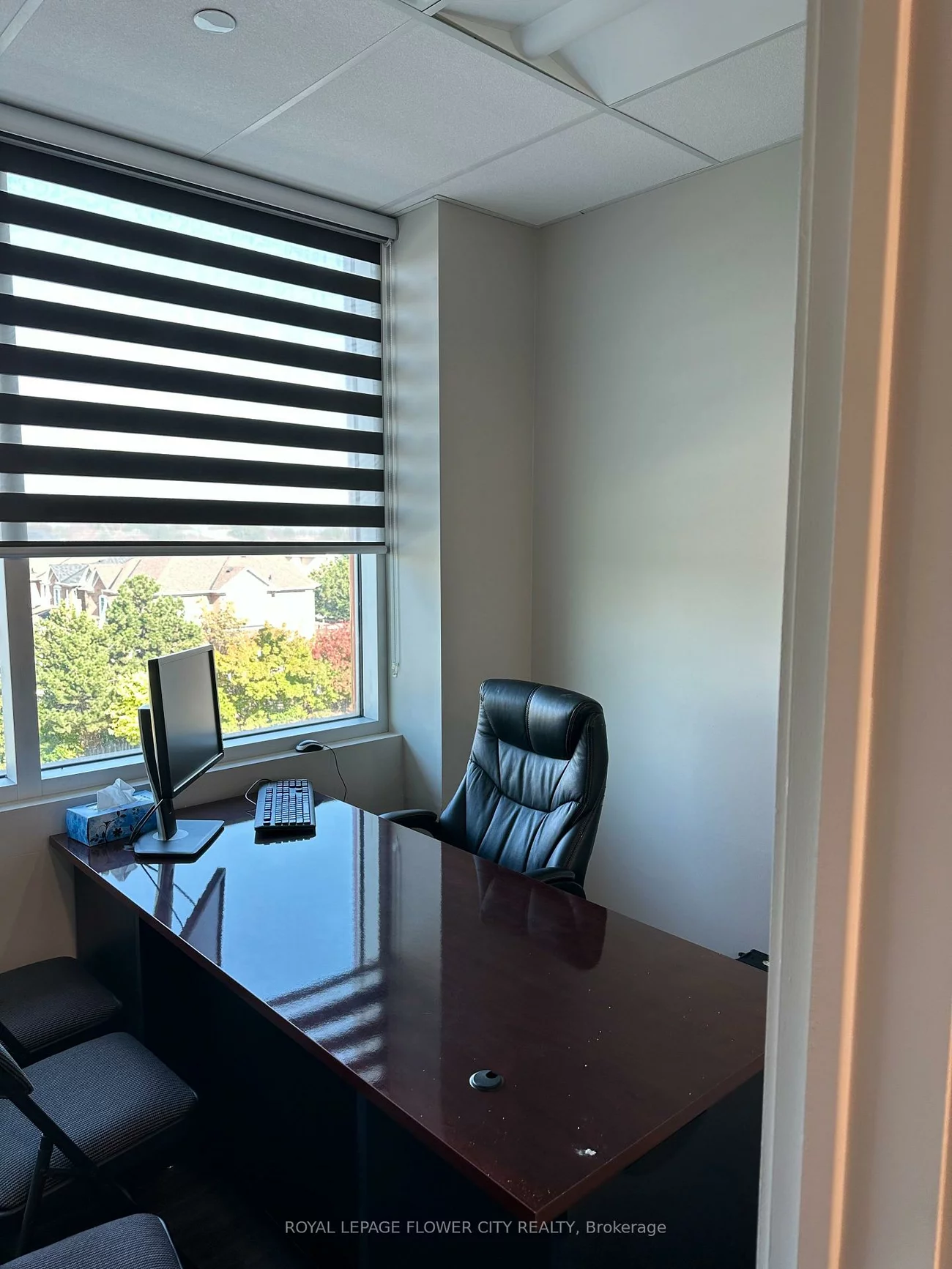 50, Sunny Meadow, Sandringham-Wellington, Brampton