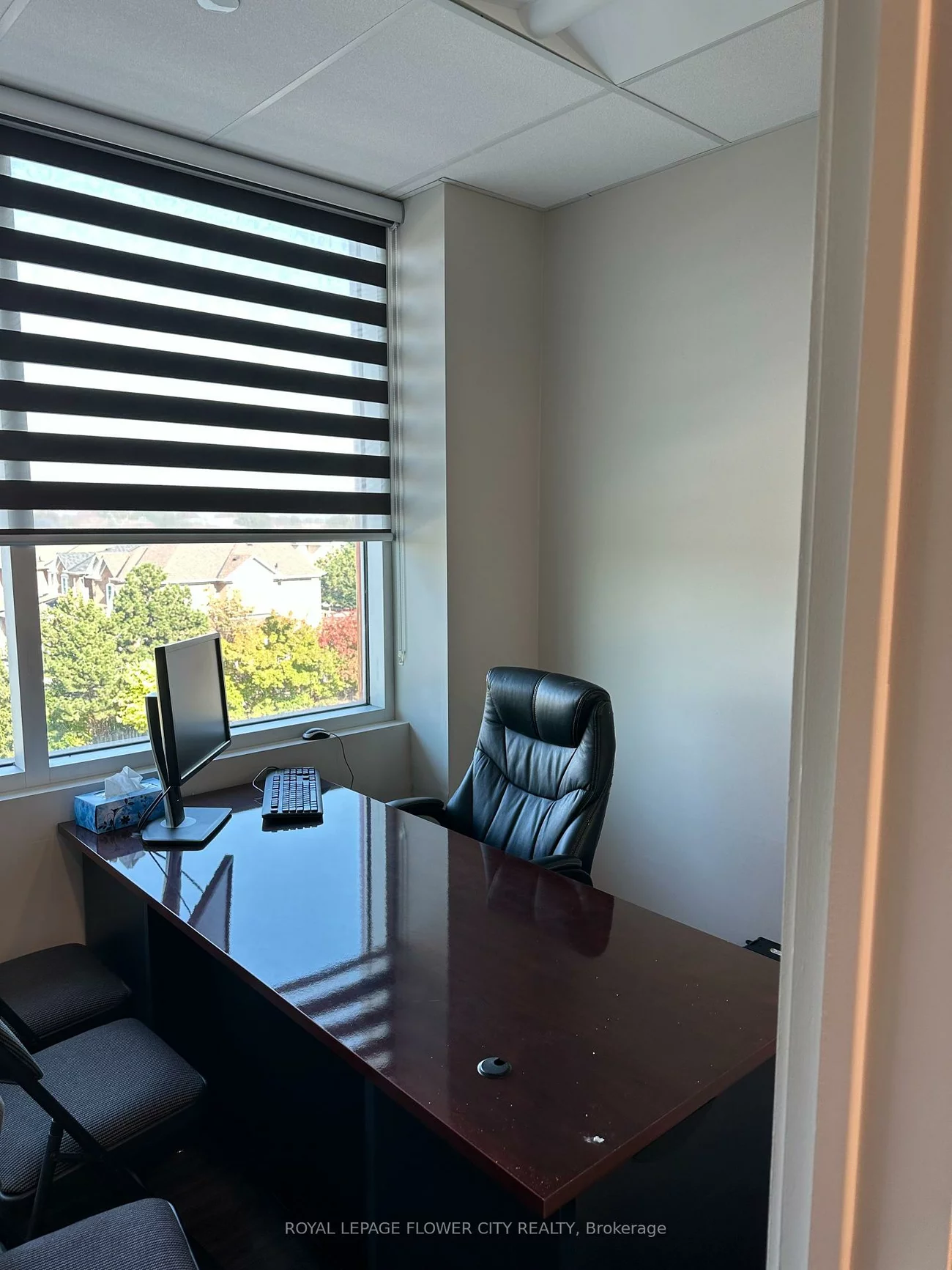 50, Sunny Meadow, Sandringham-Wellington, Brampton