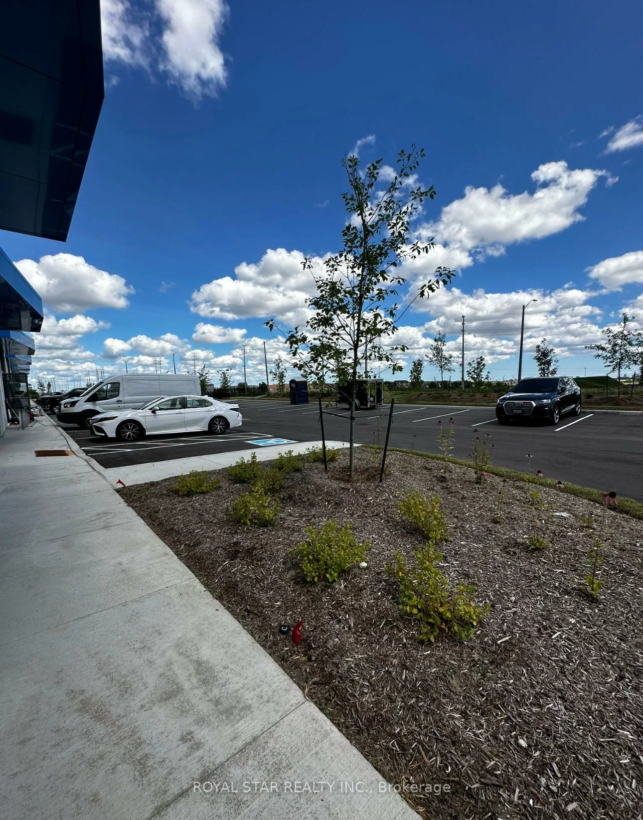 20, Newkirk, Sandringham-Wellington North, Brampton