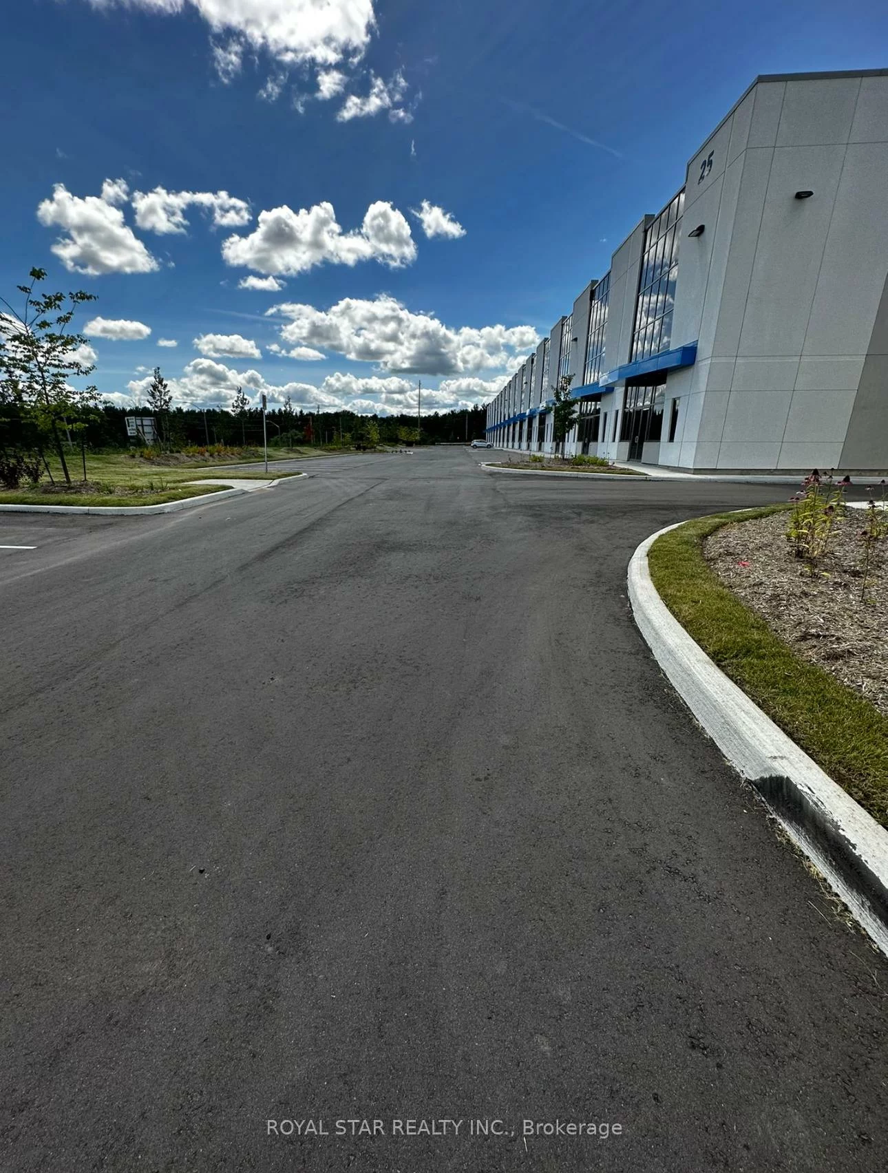 20, Newkirk, Sandringham-Wellington, Brampton