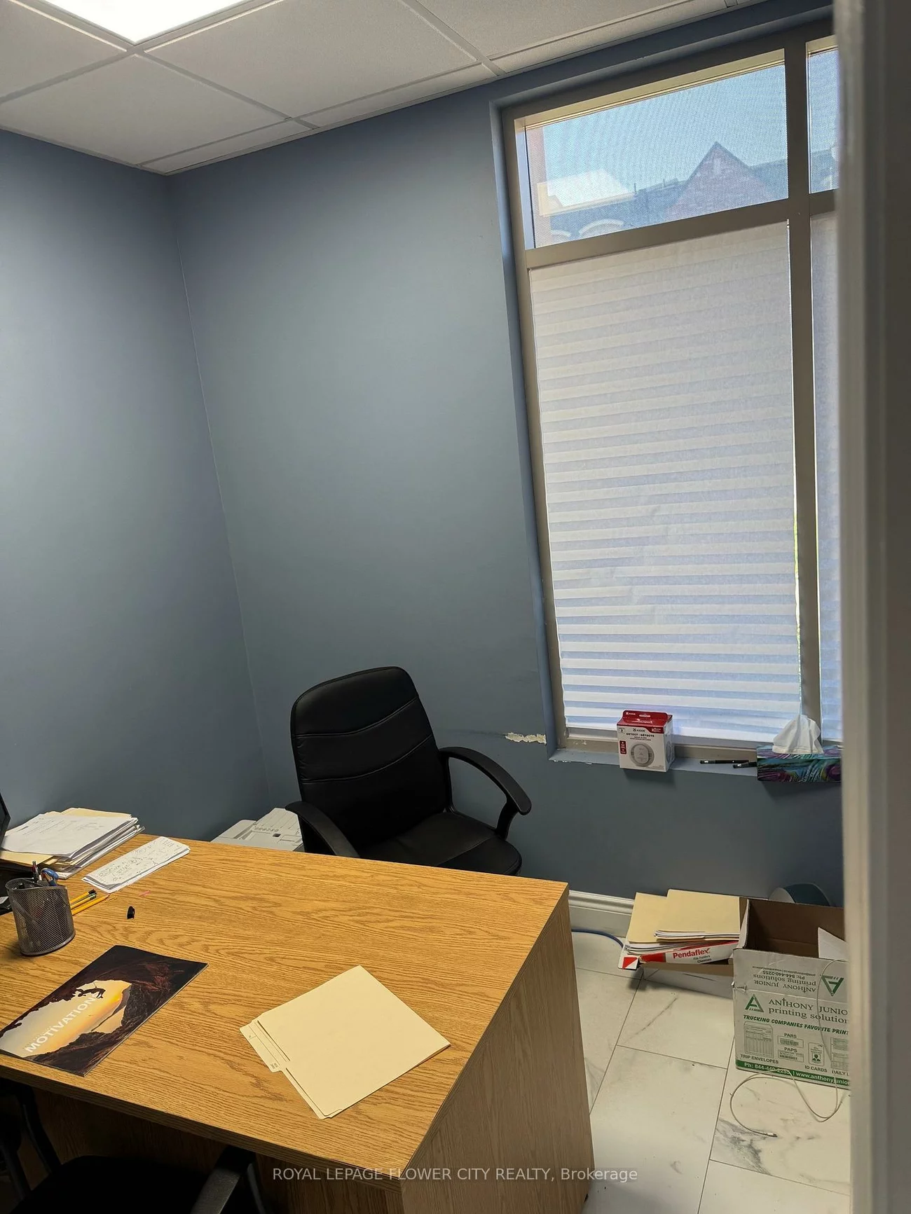 145, Inspire, Sandringham-Wellington North, Brampton