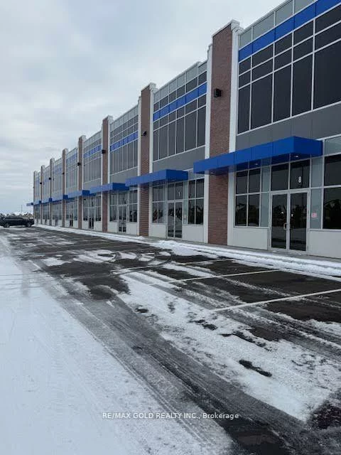 10900, Dixie, Sandringham-Wellington North, Brampton