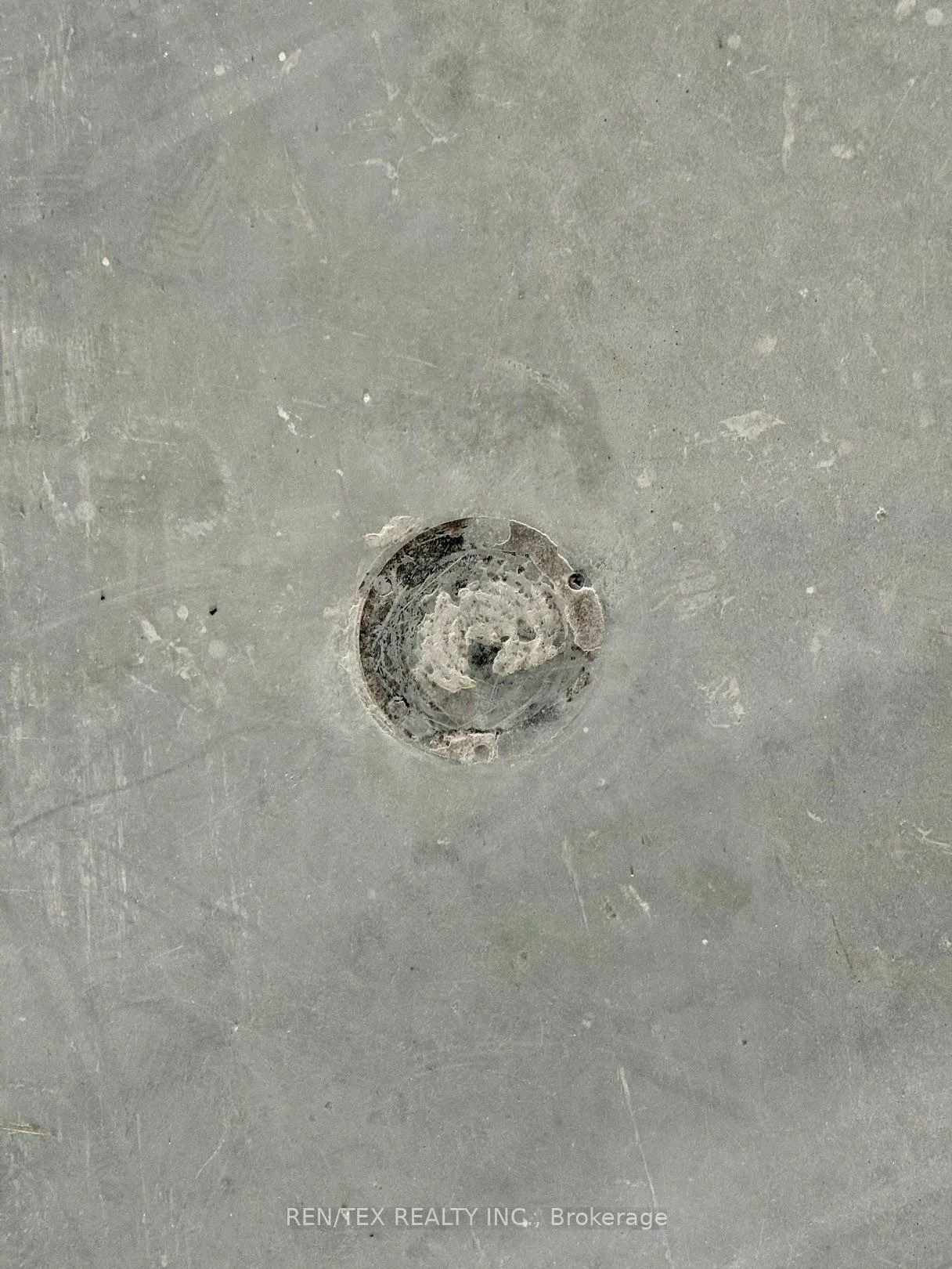 85, Inspire, Sandringham-Wellington North, Brampton