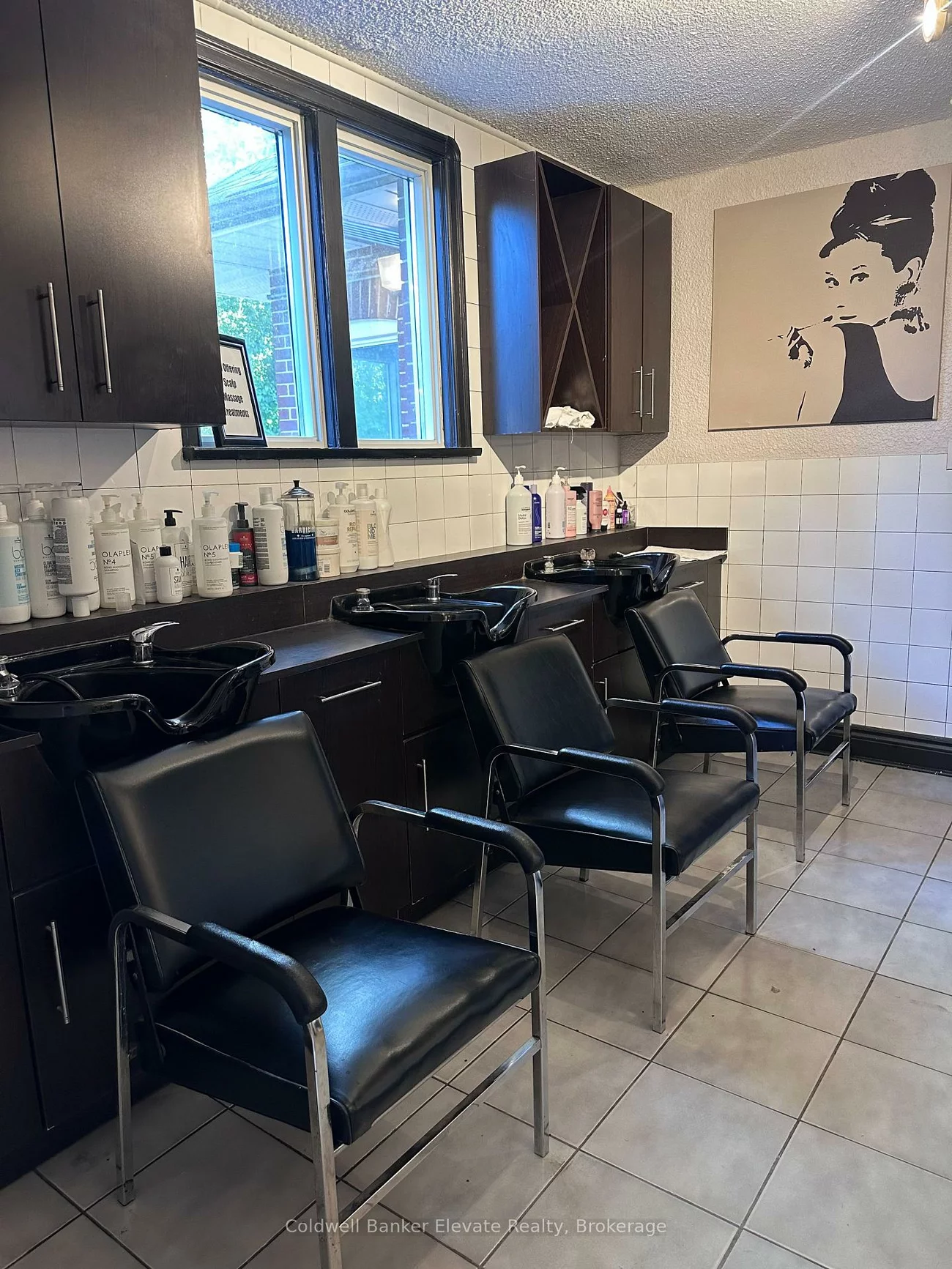7, McMurchy, Downtown Brampton, Brampton