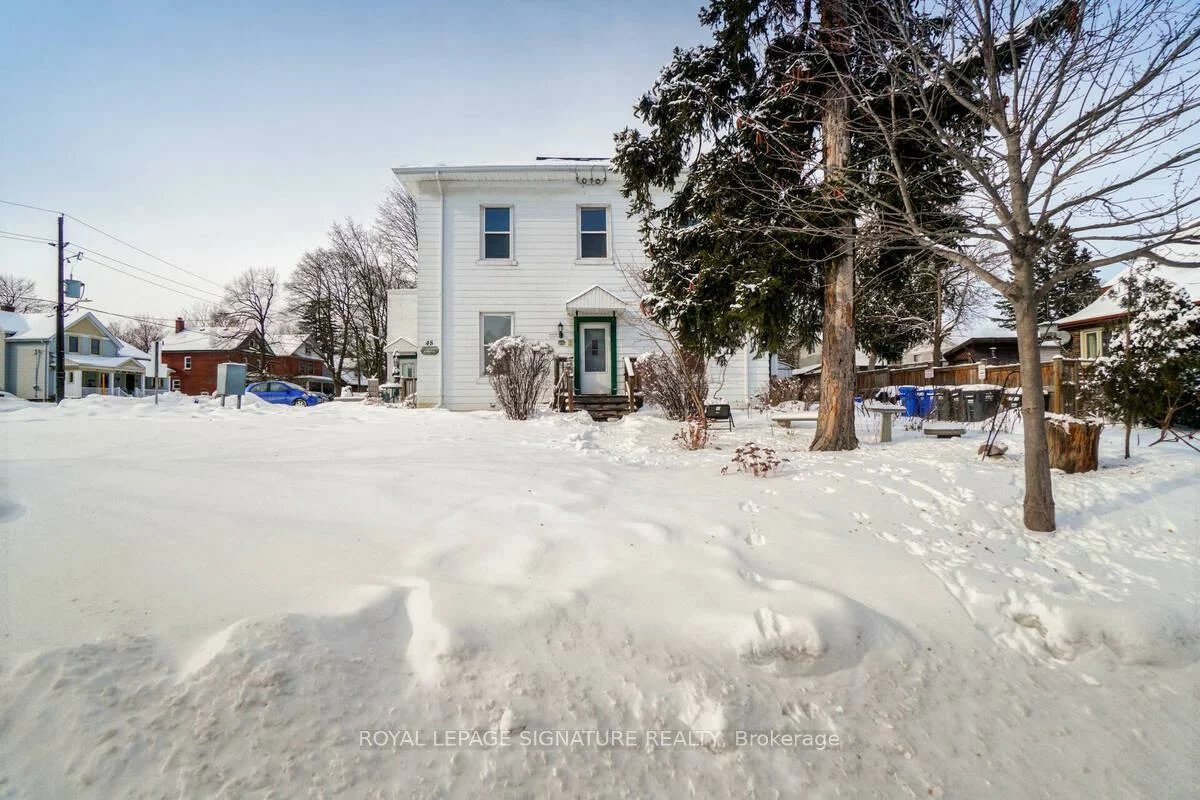 48, David, Downtown Brampton, Brampton