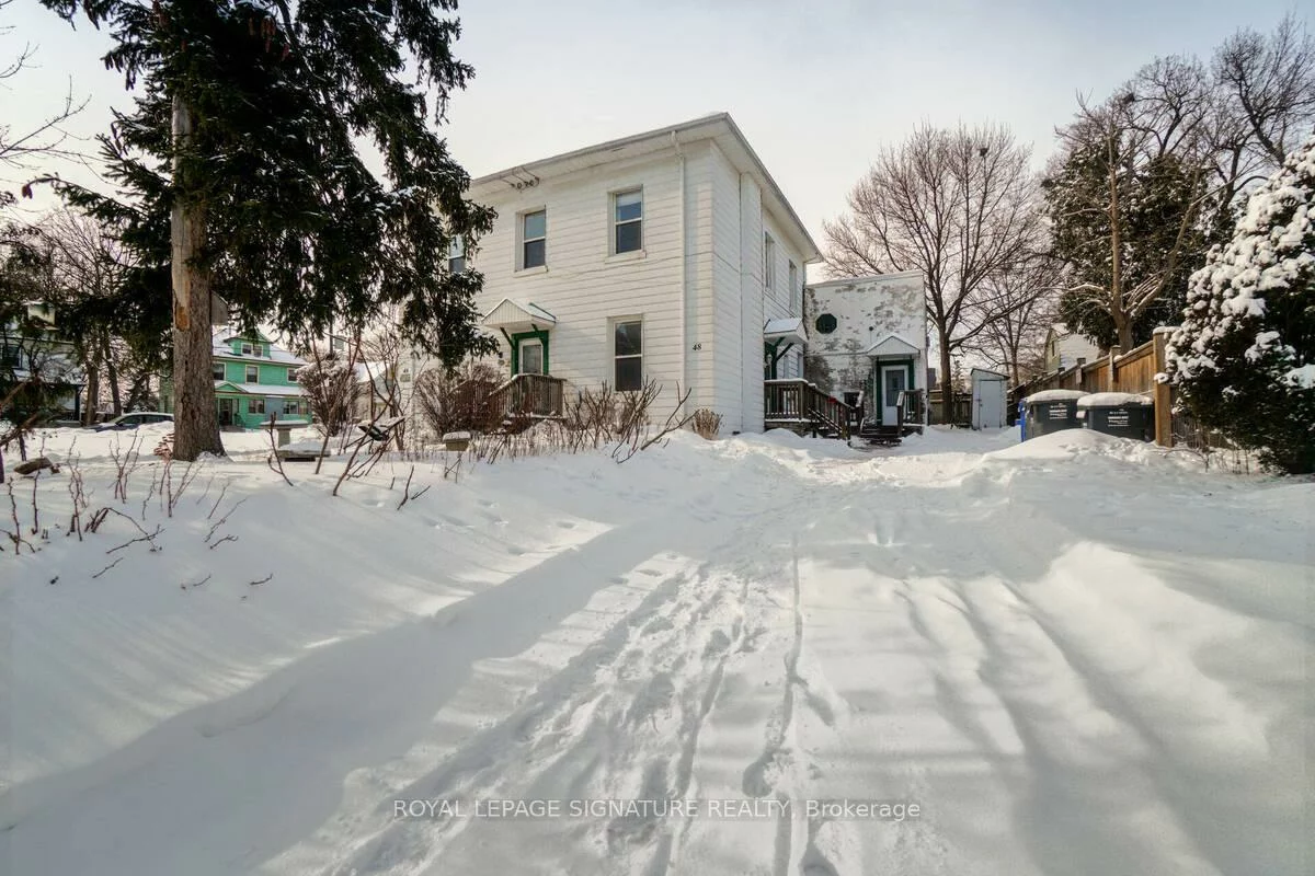 48, David, Downtown Brampton, Brampton