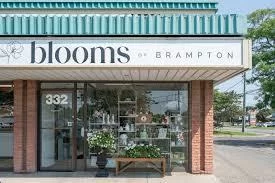 332, Main, Brampton North, Brampton