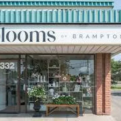 332, Main, Brampton North, Brampton