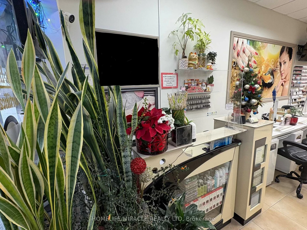 Steeles, Fletcher's Creek South, Brampton