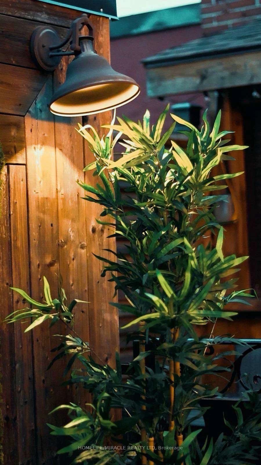 15, Main, Downtown Brampton, Brampton