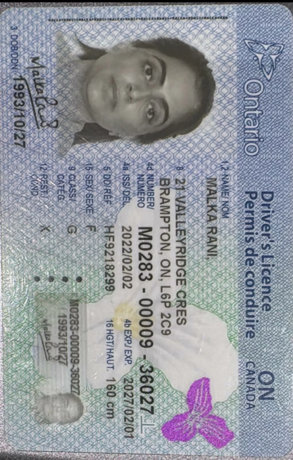 9980, Airport, Bramalea North Industrial, Brampton