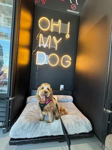 10960, Goreway Drive, Vales of Castlemore, Brampton