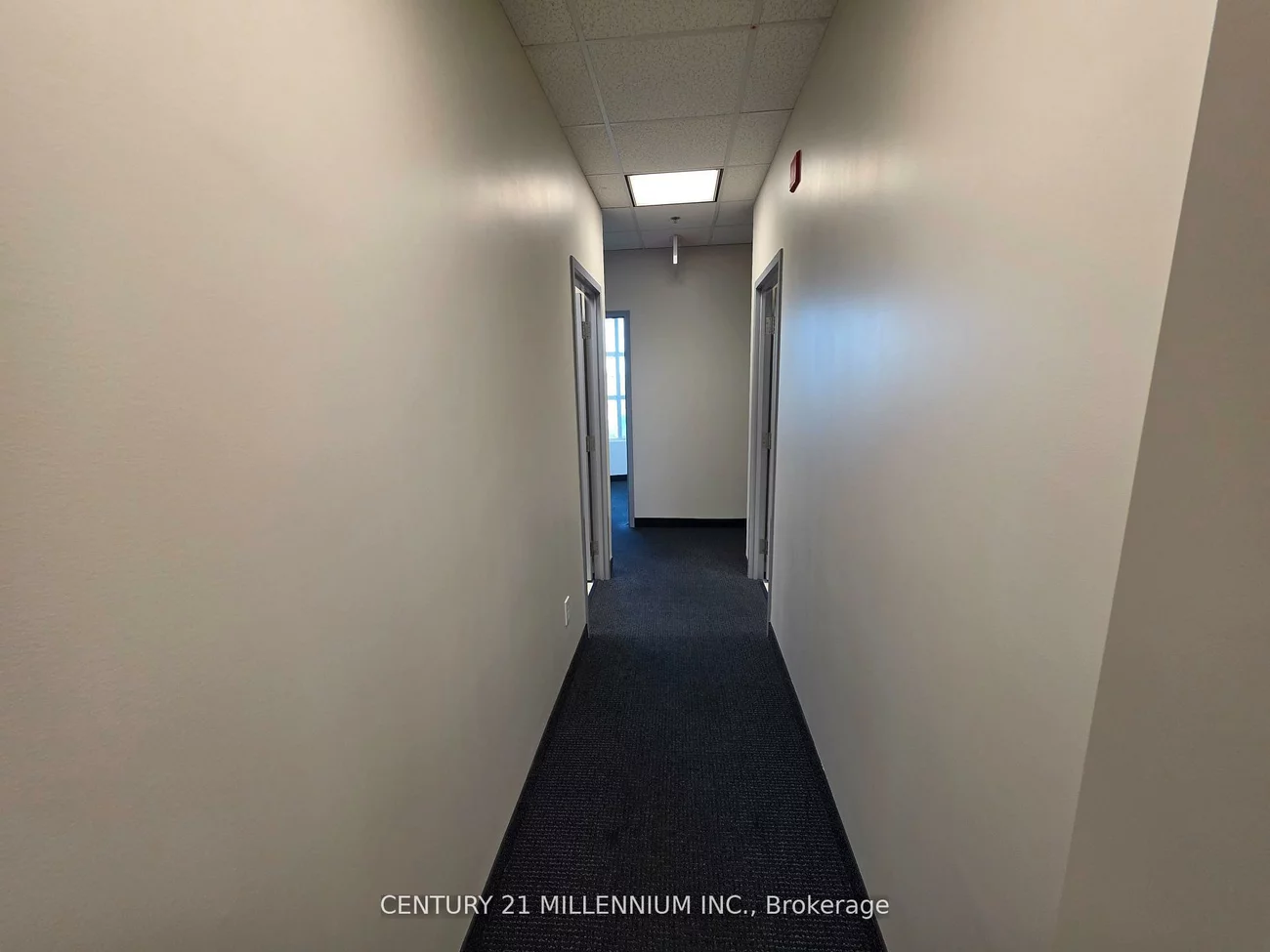 2250, Bovaird, Sandringham-Wellington, Brampton