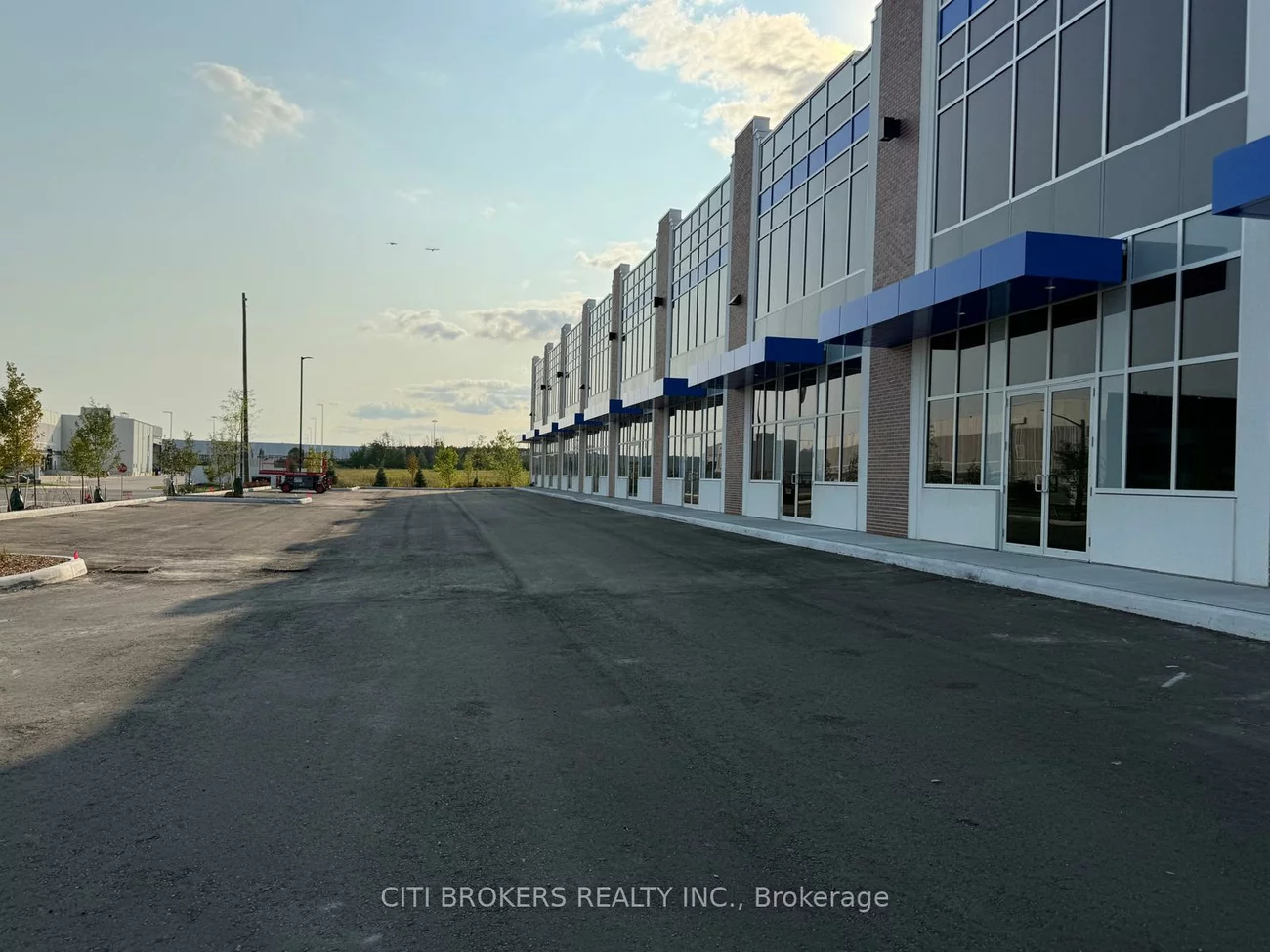 10, Tasker, Sandringham-Wellington North, Brampton