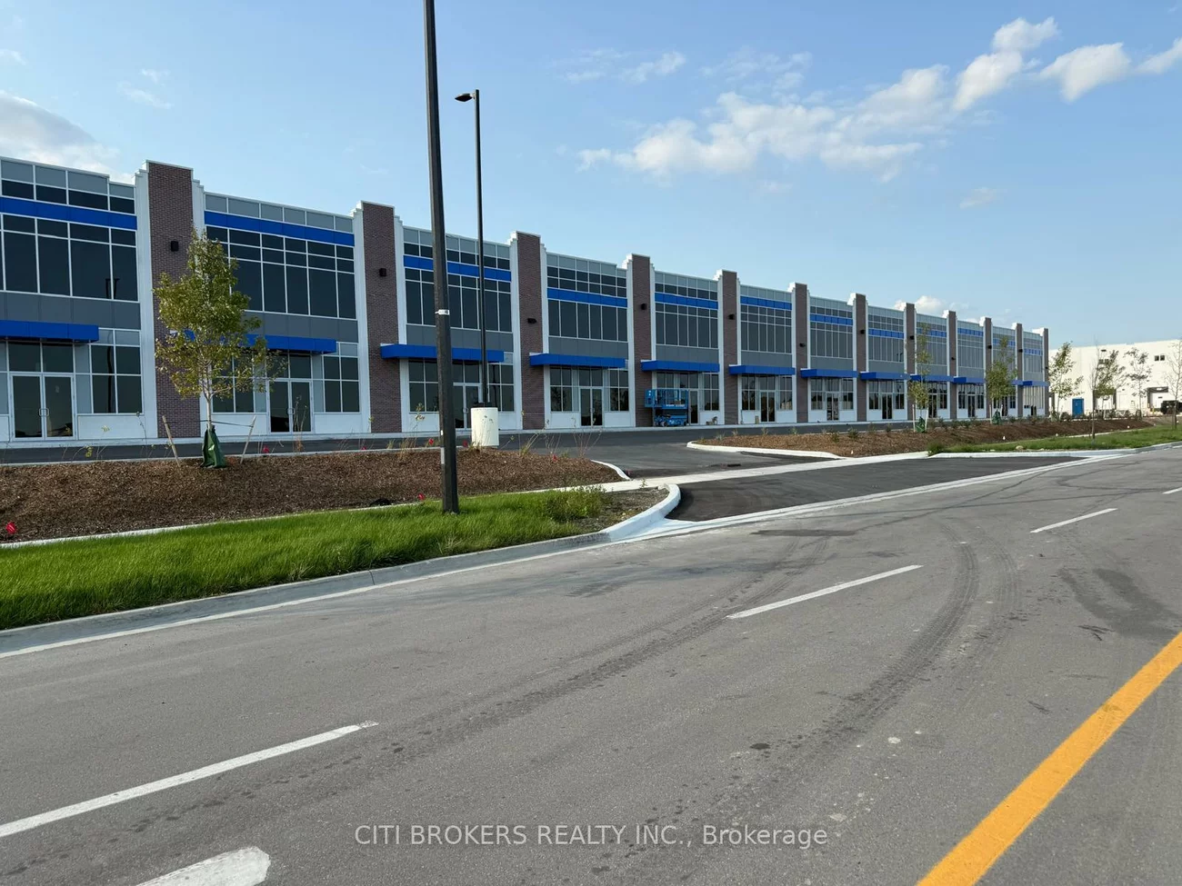 10, Tasker, Sandringham-Wellington North, Brampton
