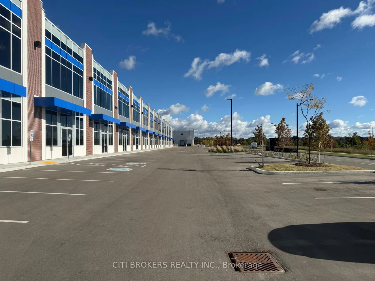 10, Tasker, Sandringham-Wellington North, Brampton