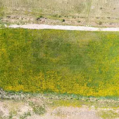 6809, Healey, Rural Caledon, Caledon