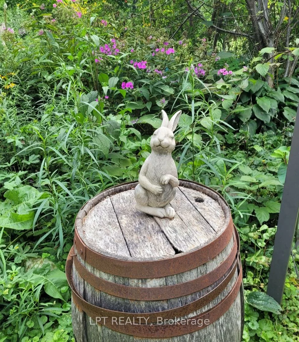 15142, Mount Pleasant, Rural Caledon, Caledon