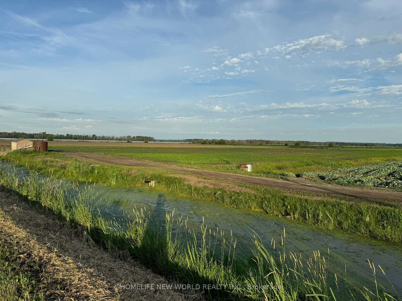 571, Ravenshoe, Queensville, East Gwillimbury