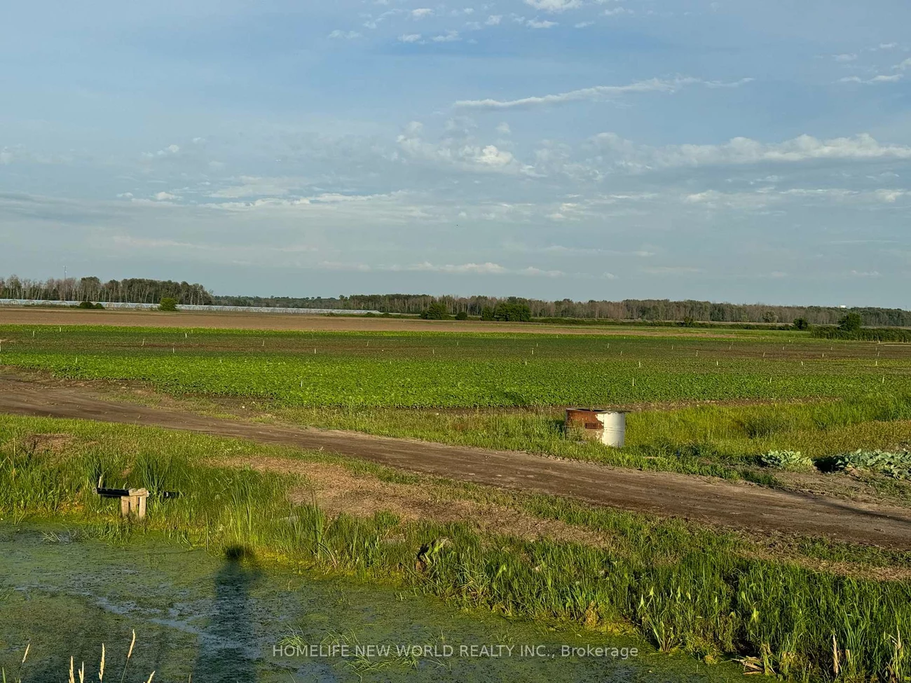 571, Ravenshoe, Queensville, East Gwillimbury