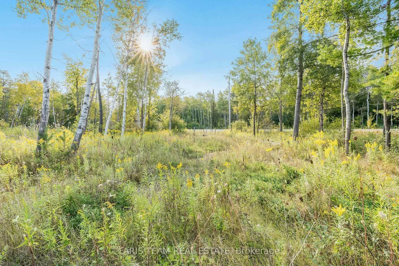 3152, Davis, Rural East Gwillimbury, East Gwillimbury