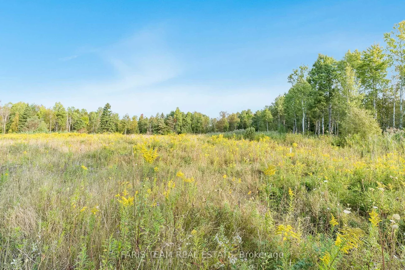 3152, Davis, Rural East Gwillimbury, East Gwillimbury