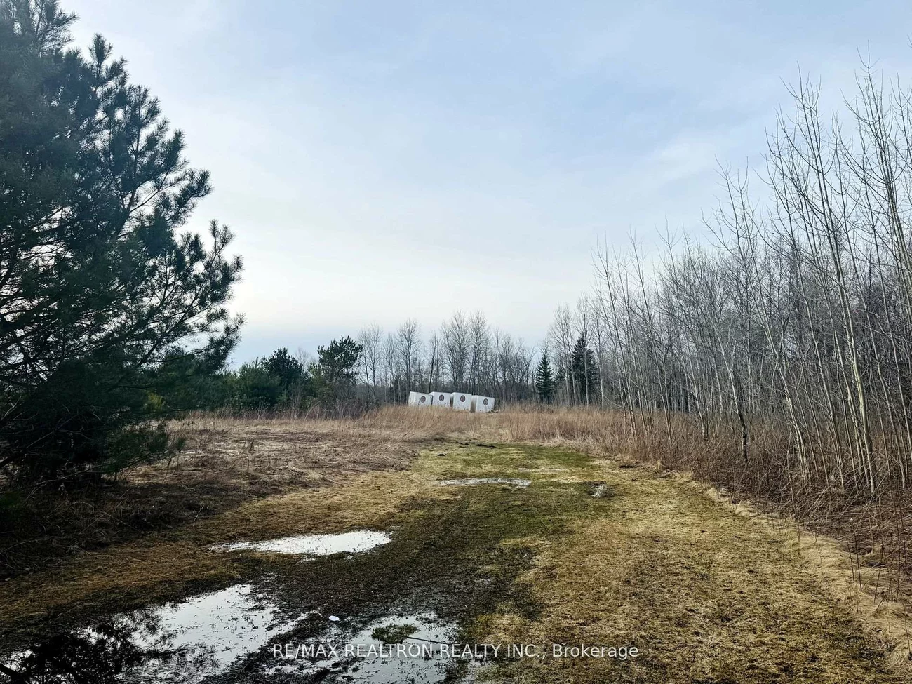 4950, Mt Albert, Rural East Gwillimbury, East Gwillimbury