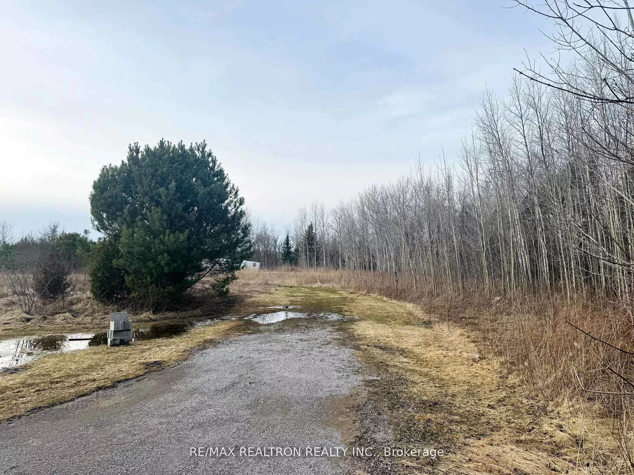 4950, Mt Albert, Rural East Gwillimbury, East Gwillimbury