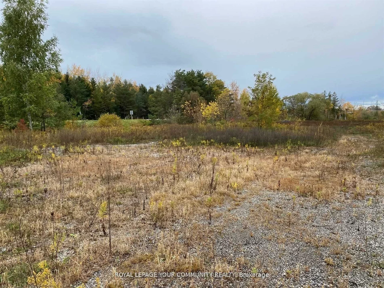 5360, Mount Albert, Mt Albert, East Gwillimbury
