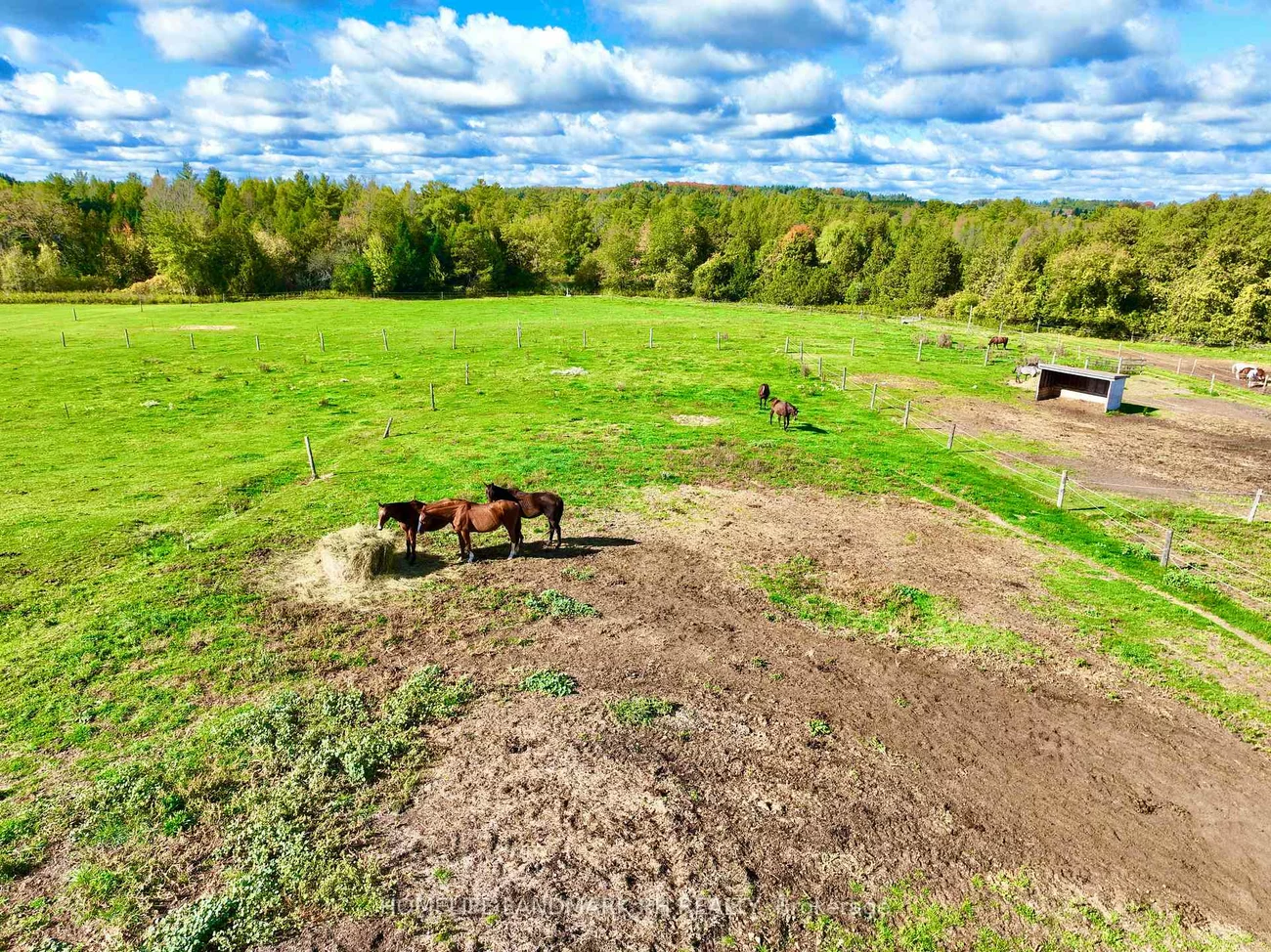5031, Herald, Mt Albert, East Gwillimbury