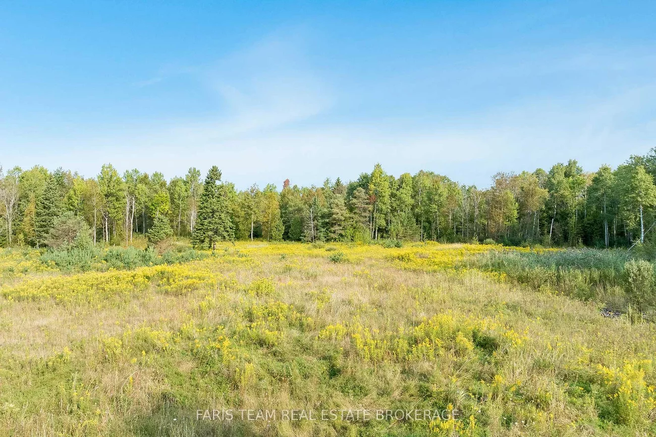 3152, Davis, Rural East Gwillimbury, East Gwillimbury